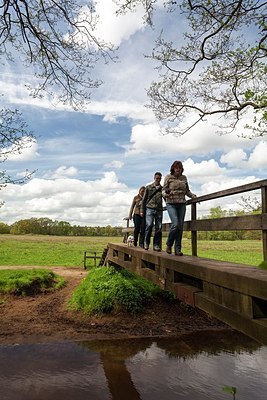 BUITEN BEELD Foto: 177483