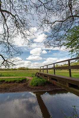 BUITEN BEELD Foto: 177487