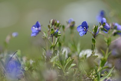 BUITEN BEELD Foto: 177492