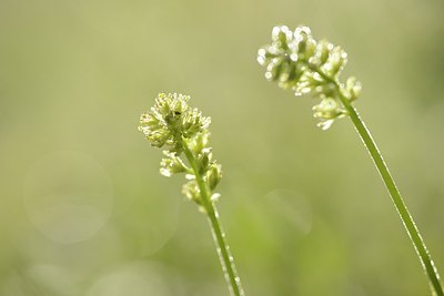 BUITEN BEELD Foto: 177554