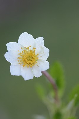 BUITEN BEELD Foto: 177560