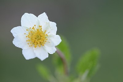 BUITEN BEELD Foto: 177567