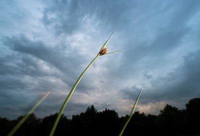 BUITEN BEELD Foto: 177638