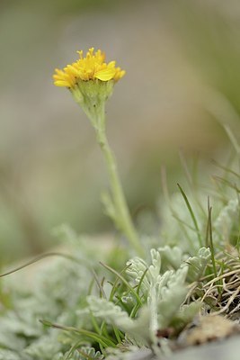 BUITEN BEELD Foto: 177702