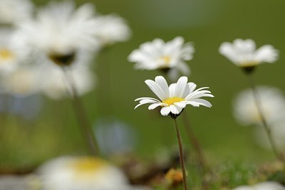 BUITEN BEELD Foto: 177704