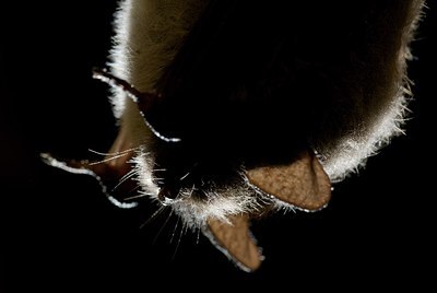 BUITEN BEELD Foto: 177772