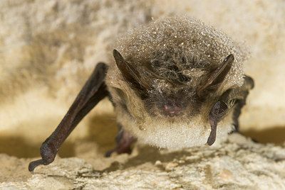 BUITEN BEELD Foto: 177776