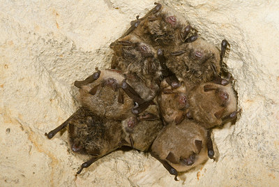 BUITEN BEELD Foto: 177777