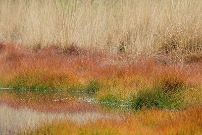 BUITEN BEELD Foto: 177784