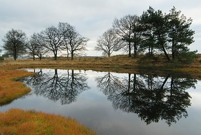 BUITEN BEELD Foto: 177785