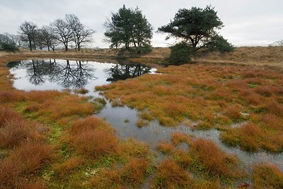 BUITEN BEELD Foto: 177787