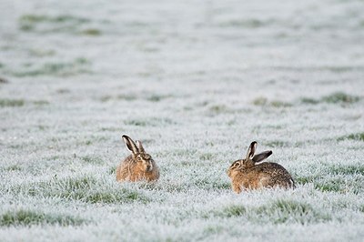 BUITEN BEELD Foto: 177853