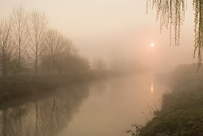 BUITEN BEELD Foto: 177864