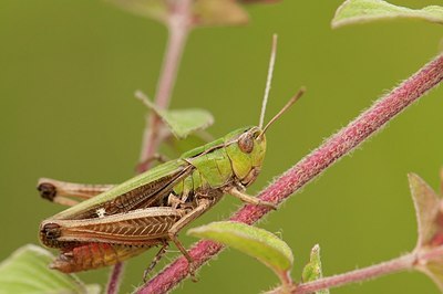 BUITEN BEELD Foto: 177879