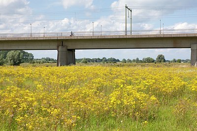 BUITEN BEELD Foto: 177931