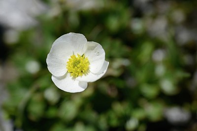 BUITEN BEELD Foto: 177945