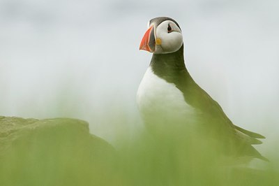 BUITEN BEELD Foto: 177960