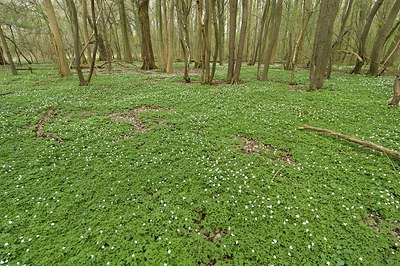 BUITEN BEELD Foto: 177983