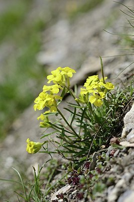 BUITEN BEELD Foto: 177993