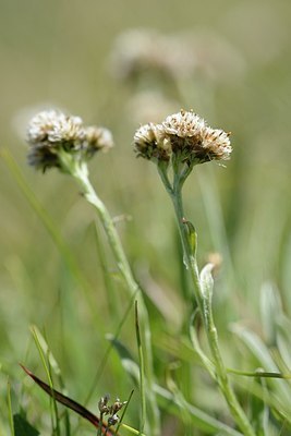 BUITEN BEELD Foto: 178022