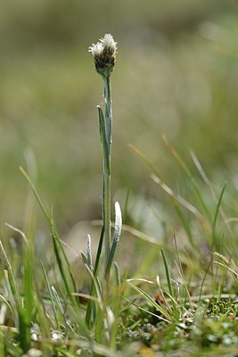 BUITEN BEELD Foto: 178029