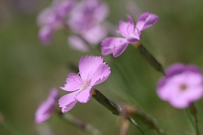 BUITEN BEELD Foto: 178030