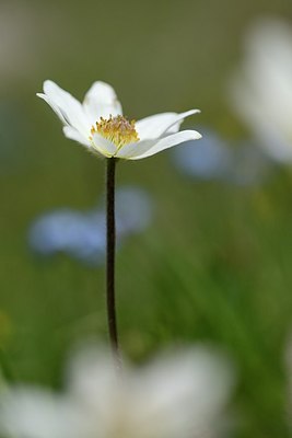 BUITEN BEELD Foto: 178045