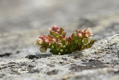BUITEN BEELD Foto: 178048