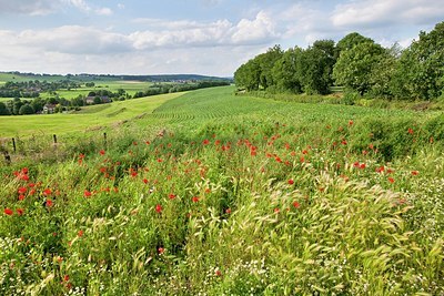 BUITEN BEELD Foto: 178063