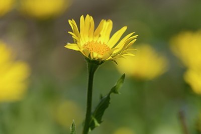 BUITEN BEELD Foto: 178129