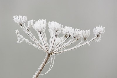 BUITEN BEELD Foto: 178183