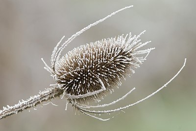 BUITEN BEELD Foto: 178184