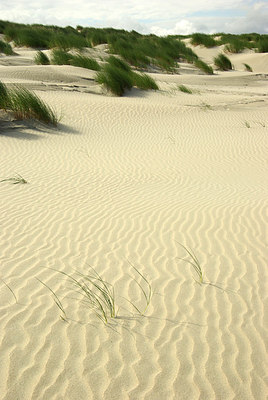 BUITEN BEELD Foto: 178185