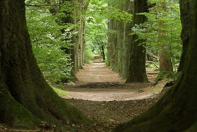 BUITEN BEELD Foto: 178196