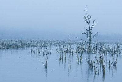 BUITEN BEELD Foto: 178206
