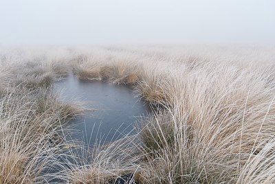 BUITEN BEELD Foto: 178207