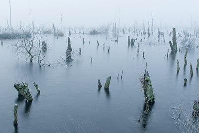BUITEN BEELD Foto: 178208