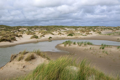BUITEN BEELD Foto: 178210