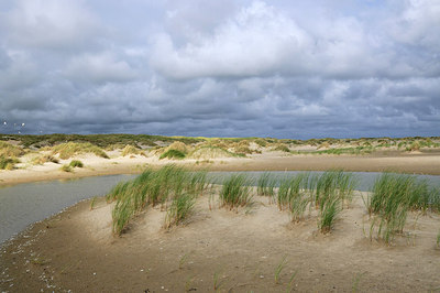 BUITEN BEELD Foto: 178211
