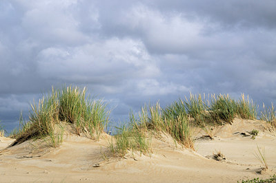 BUITEN BEELD Foto: 178216