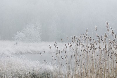 BUITEN BEELD Foto: 178259