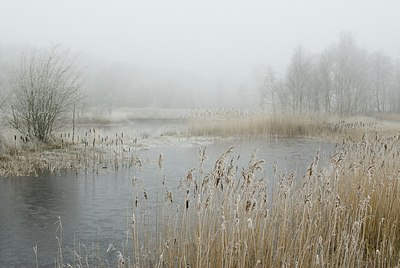 BUITEN BEELD Foto: 178260