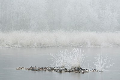 BUITEN BEELD Foto: 178261