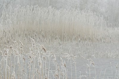 BUITEN BEELD Foto: 178262