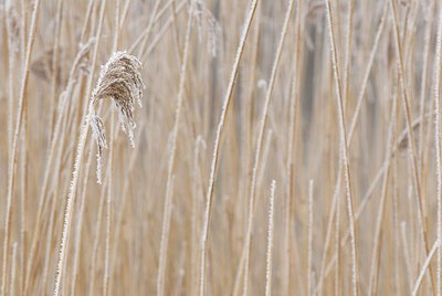 BUITEN BEELD Foto: 178271
