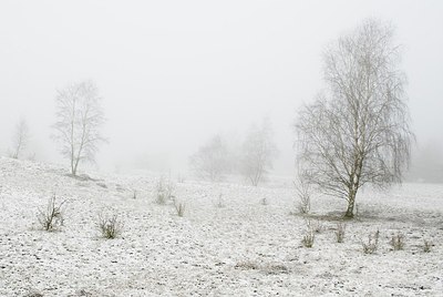 BUITEN BEELD Foto: 178287
