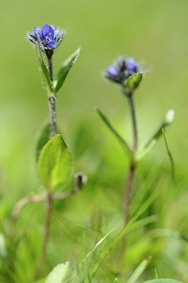 BUITEN BEELD Foto: 178299