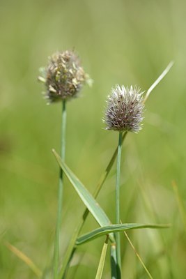 BUITEN BEELD Foto: 178302