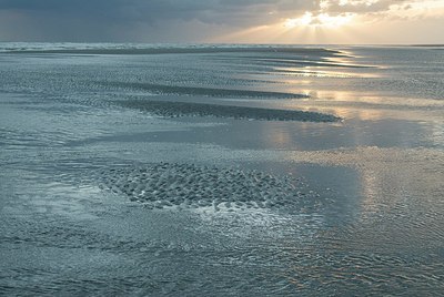 BUITEN BEELD Foto: 178315