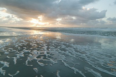 BUITEN BEELD Foto: 178318